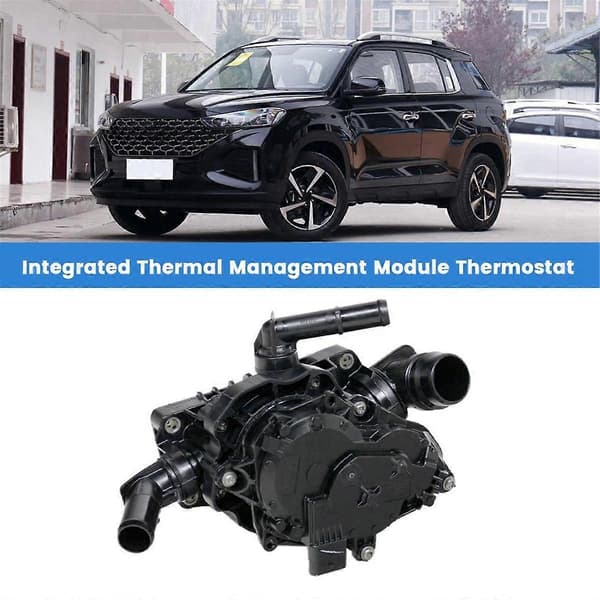 Bil Integrert Termisk Styringsmodul 25600-2J100 for Mistra IX35 Termostathus