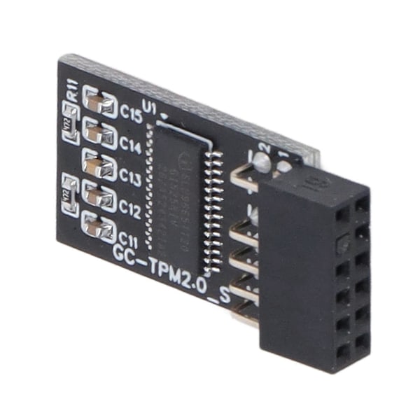 TPM 2.0 Modul LPC SPI 12Pin Fjärrkorts Krypteringssäkerhetskort Tillbehör för GIGABYTE
