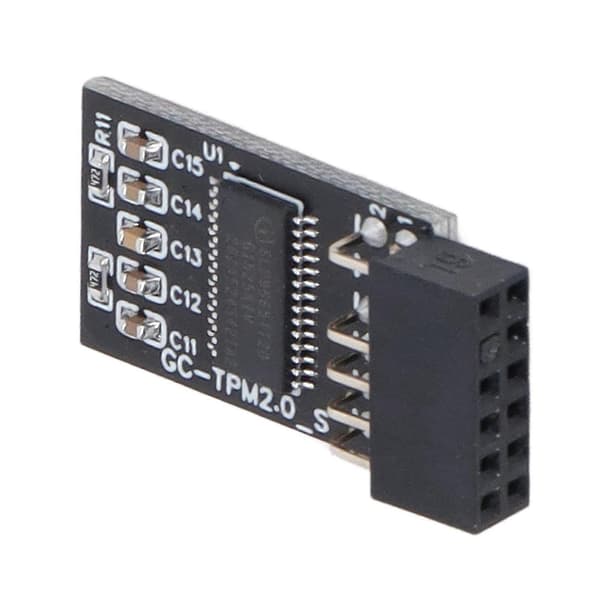 TPM 2.0 Modul LPC SPI 12Pin Fjernkort Krypteringssikkerhetskort Tilbehør for GIGABYTE