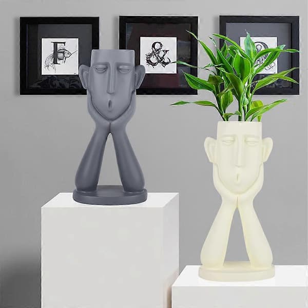 Suckulentkrukor Huvudbyst Skulptur Staty Vas Hartsfigur