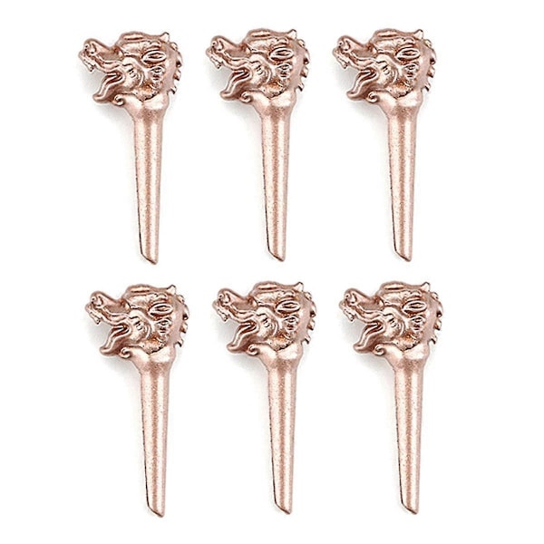 6 stk. Drage Metall Akustisk Gitar Bro Pins Strenger Fikserte Koner