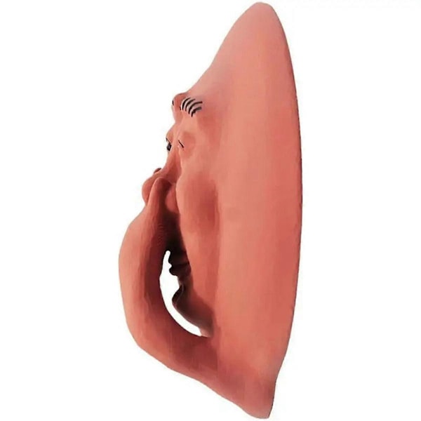 Morsom Baderom Humoristisk Stinkende Ansikt Veggdekor Resin Toalett Veggkunst Statue for Baderom Soverom 2 stk