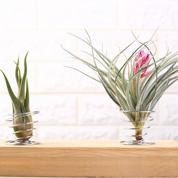 10 stk. Luftplante Tråd Fjærholdere Blomsterpotter Miniatyrstativer Hagedekor Qinhai