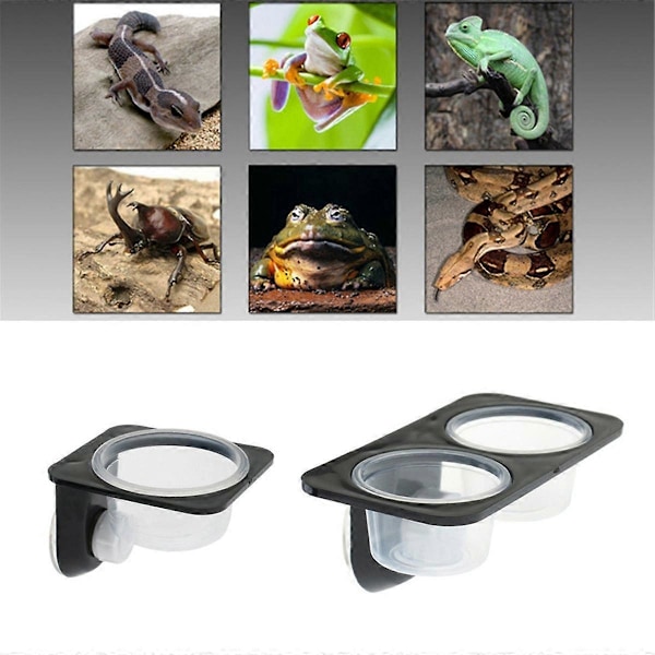 & Amfibier Øgle Gekko Sugekopp Fôringsskåler Matbeholder med Skål for Reptilmat og Vannfôring-B