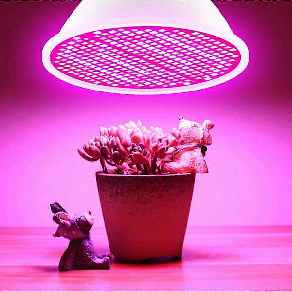 LED Växtlampa för Inomhusväxter Rött & Blått Spektrum LED Växtlampor E14 Växtlampa för Plantor Hydroponisk Suckulent Blommor Grönsaker E14 * 48 LEDs