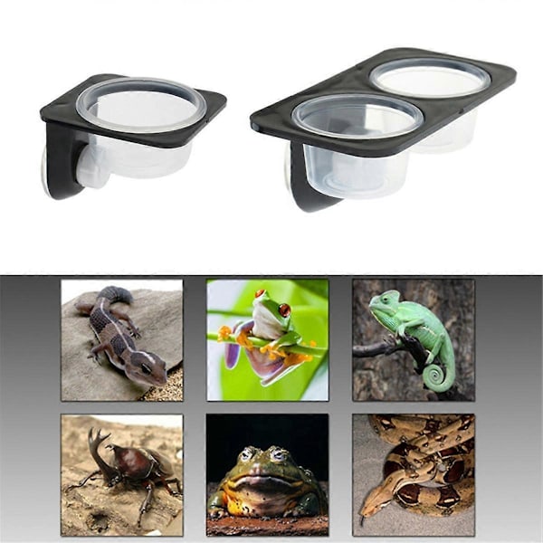 & Amfibier Øgle Gekko Sugekopp Fôringsskåler Matbeholder med Skål for Reptilmat og Vannfôring-B