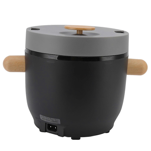Bil Ris Kokare Multifunktionell Portabel 3L Mini Bil Driven Smart Ris Kokare Cigarettändare 24V