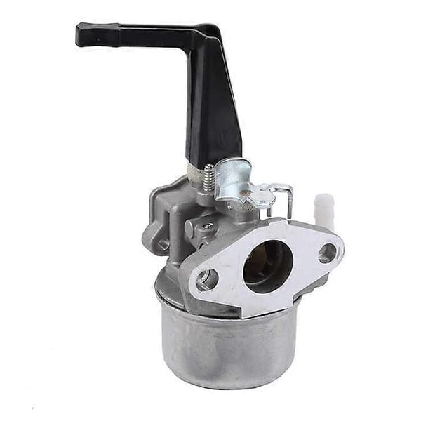 Passer til Briggs & Stratton 591852 590834 793493 793463 forgassere