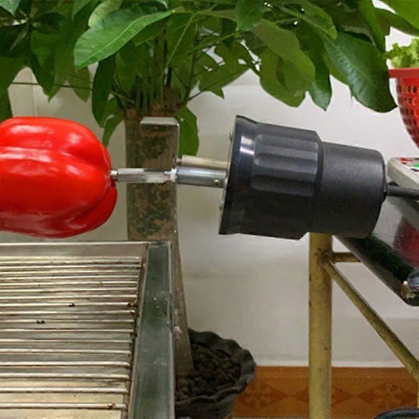 Elektrisk BBQ Grill Rotasjonsmotor Grillspyd Rotator Motor i Aluminium for Kjøkkenmotorverktøy - EU-plugg