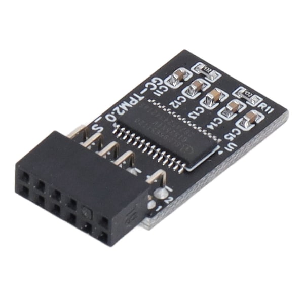 TPM 2.0 Modul LPC SPI 12Pin Fjärrkorts Krypteringssäkerhetskort Tillbehör för GIGABYTE