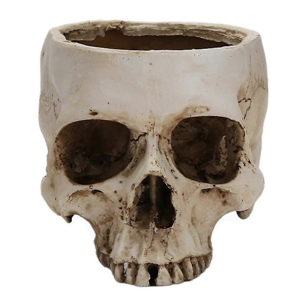 Kranie Skelet Lysestage Holder Kranie Lysholder Fyrfadslys Kop Gotisk Resin Lysestage Håndværk til Halloween Dekoration A