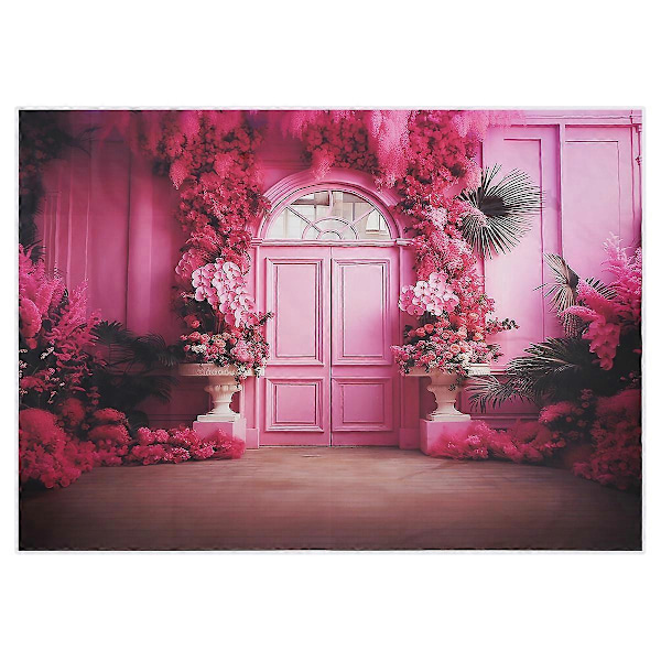 210x150cm Valokuvaustausta Kangas Live-lähetyksiin Valokuvausrekvisiitta Perhepotretteihin, Valokuvausstudiodekoraatio D