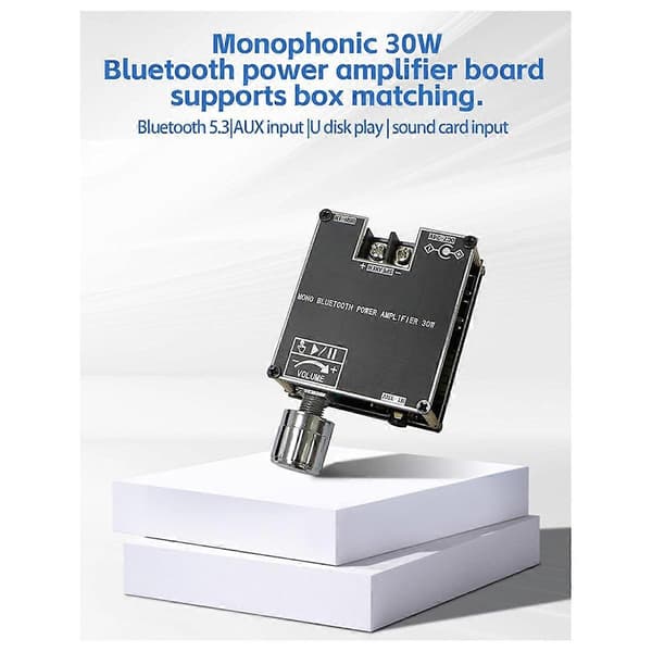 ZK301B Mono 30W BT5.3 Digital Ljudförstärkarmodul Stöder True Wireless TWS med APP DIY Enkel Monoförstärkarbräda