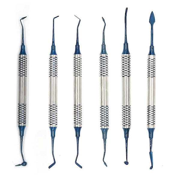 6 st Tandfyllningsinstrument i Komposit Resin, Non-Stick, Dubbelhuvud, Blå