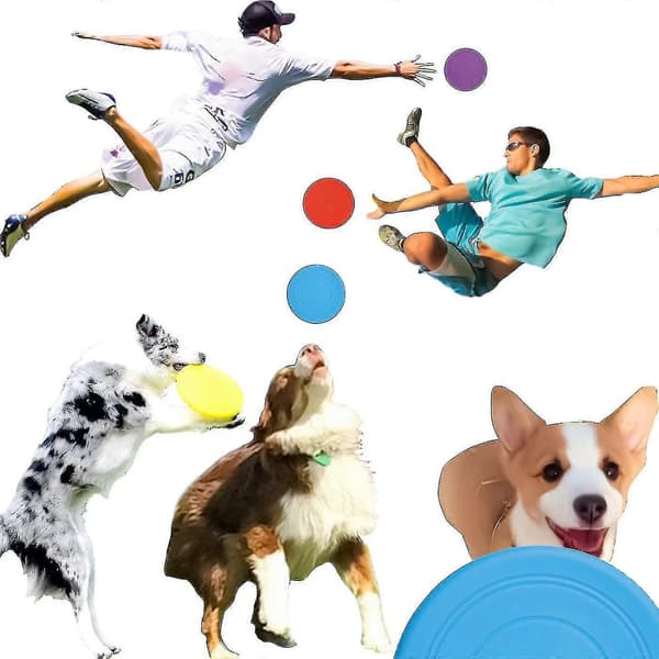 6-pack Silikon Hund Frisbee Rolig Hundleksak För Utomhusträning