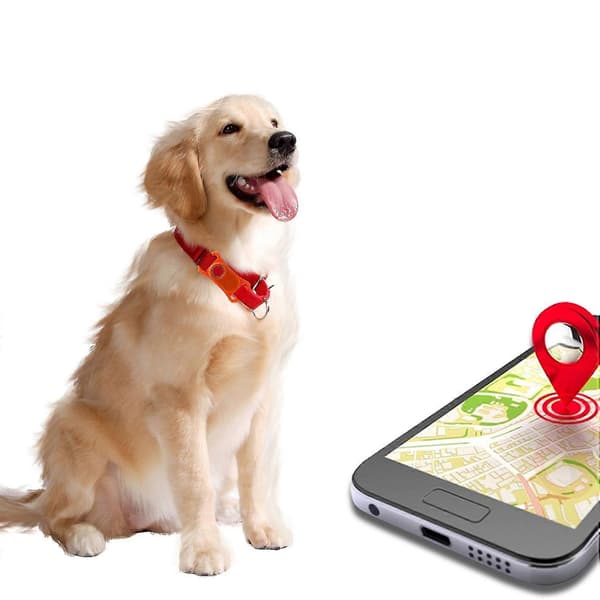 Silikoneetui til kæledyrshalsbånds-tracker til Samsung Galaxy SmartTag2 Stødsikkert Cover Black