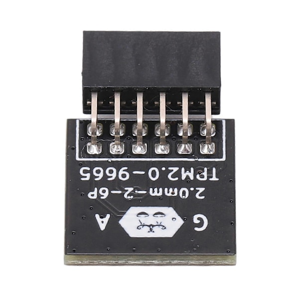Salausmoduuli 12PIN TPM 2.0 Etäkortti Kryptografinen turvamoduuli GIGABYTELLE