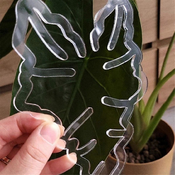 1 st Växtstjälk Plaststöd, Blomstjälkshållare, Återanvändbart Växtstöd, A