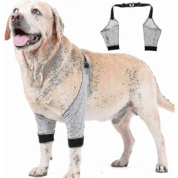 Hund Armbågsskydd Justerbart Främre Ben Ärm Husdjur Operation Skada Återhämtning Skyddande Stöd 1 Par M