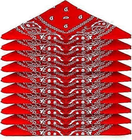 10-pack bomullsbandanas med paisleymönster (54*54cm), röd