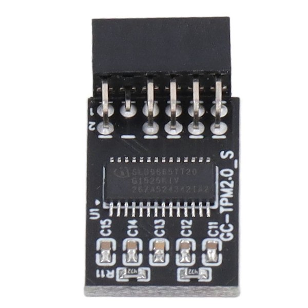 TPM 2.0 Modul LPC SPI 12Pin Fjärrkorts Krypteringssäkerhetskort Tillbehör för GIGABYTE