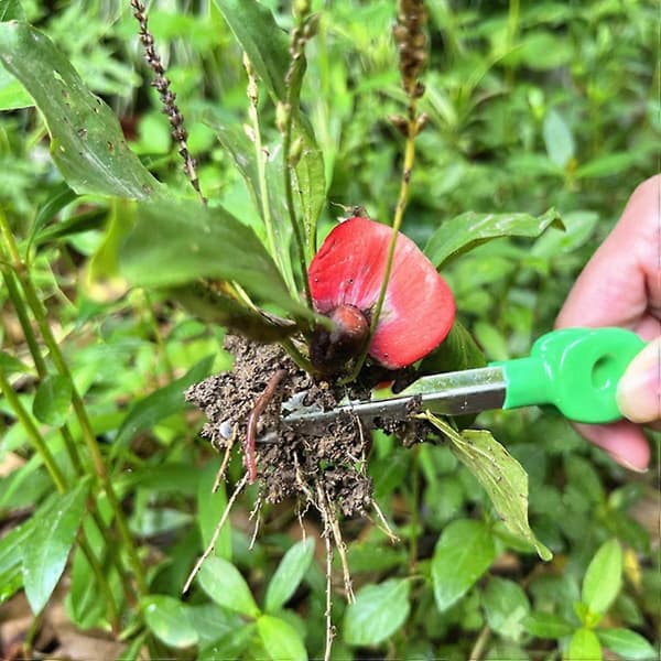 Puutarhapinsetit, kasvipinsetit, luonnontutkimuspinsetit, istutuspinsetit