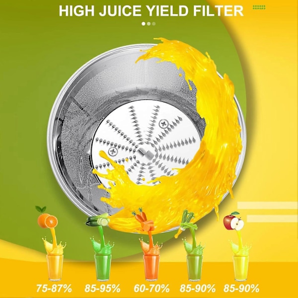 Elektrisk juicemaskin 500W Stor åpning Fullautomatisk 2 Hastigheter Rustfritt Stål Masticating Juicer for Hjemmekjøkken