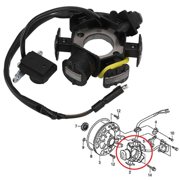 Magneto Generator Stator Spole 31120?GW8?671 31120?GW8?672 Udskiftning til CRF50F 2004?2009 2012?2018