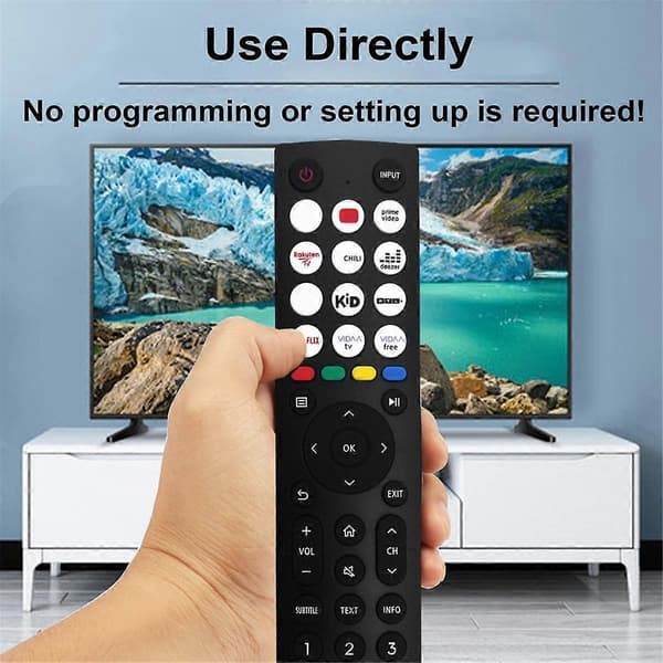Erstatningsfjernkontroll EN2P36H for Smart LED LCD TV Fjernkontroll Uten Stemmefunksjon