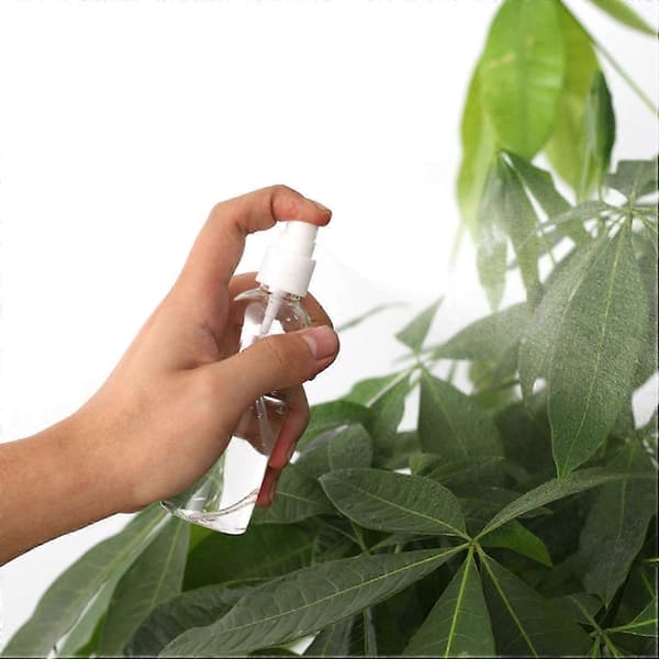 25 st Transparenta tomma sprayflaskor 30 ml Plast Mini Återfyllningsbar Behållare-Yvan