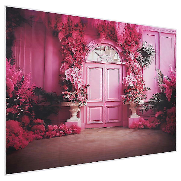 210x150cm Valokuvaustausta Kangas Live-lähetyksiin Valokuvausrekvisiitta Perhepotretteihin, Valokuvausstudiodekoraatio D