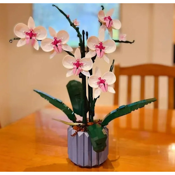 Orkidé Byggeklodser, Blomst Sukkulenter Potteplante Byggeklodser, Romantisk Sæt, Samlede Byggeklodser Legetøj orchid
