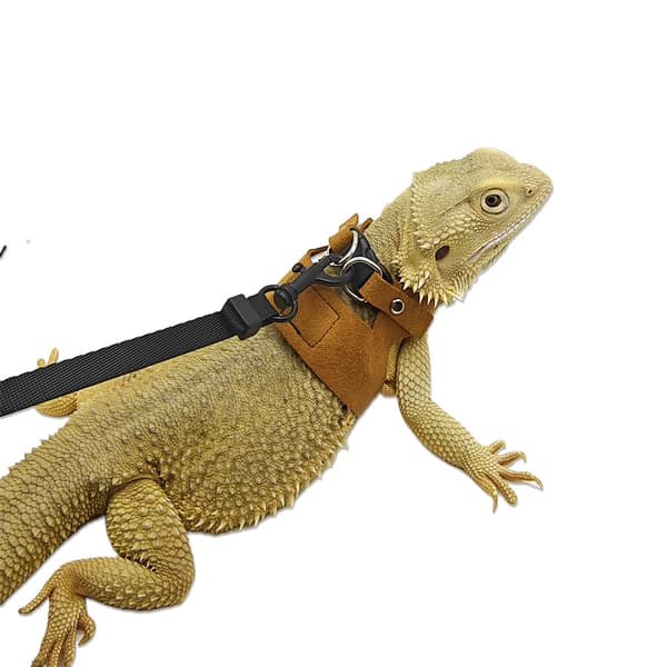 Bearded Dragon Harness Leash Set Lizard Harness, Lizard Reptile Walking Leash for Bearded Dragon Reptiles (Brown)