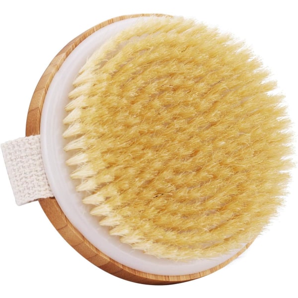 Dry Brushing Body Brush - Natural Bristle Body Exfoliator Sc