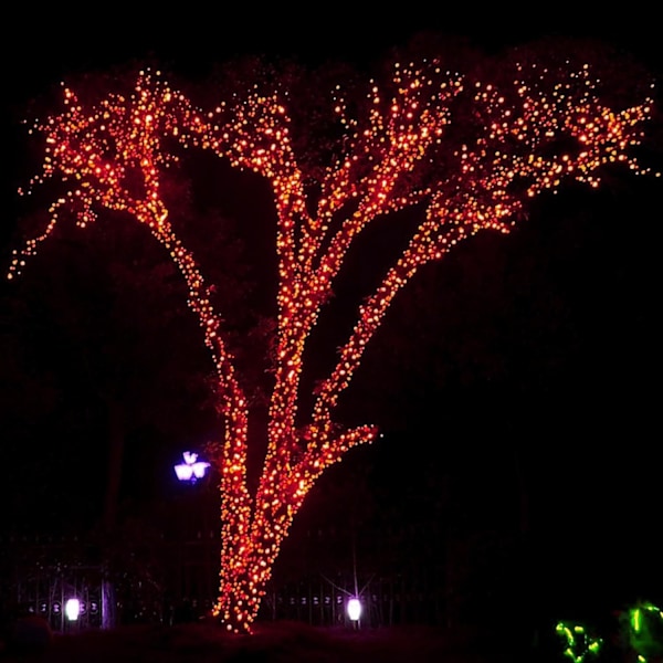 Valonauha 200 LED-lampulla, 20 metriä pitkä, joulukoristeluun Oranssi Orange 400 LED