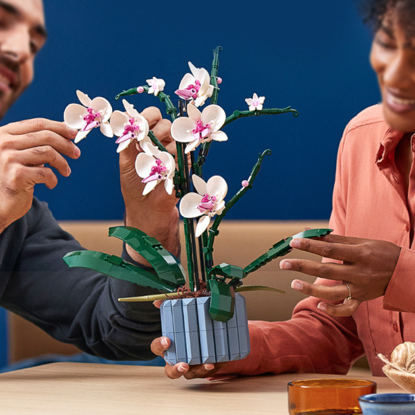 Moc Bukett Orkidé Byggklossar Blomsuckulenter Byggklossar i krukor Lämplig för 10311 Romantiskt kit Monterade byggklossar Leksaker Flickor Presenter