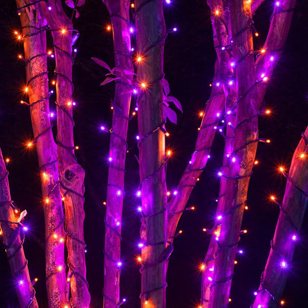 Lysstrimmel med 200 LED-lys, 20 meter lang, til julebelysning Purple and Orange Purple and Orange 200 LED