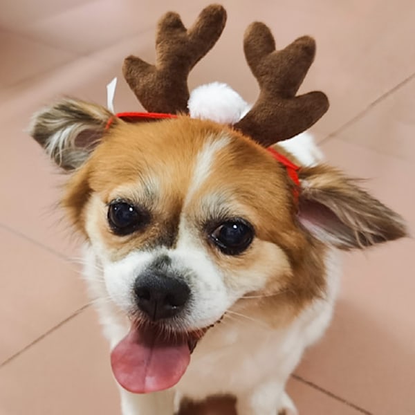 Kæledyrstilbehør Jultilbehør Hund Hårbånd Kattetilbehør Julehorn Horn Pandebånd Hund Hat Antlers