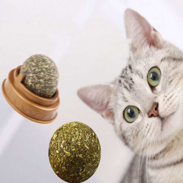 Naturlig katteurt Cat Wall Stick-on Ball Toy