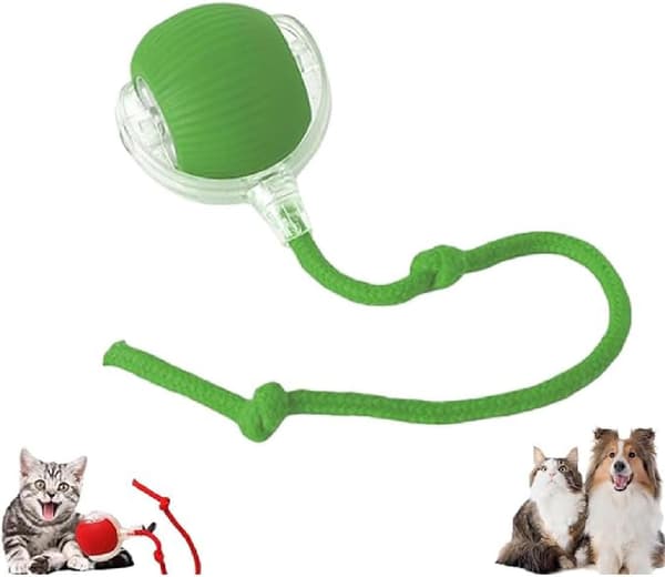 Interaktiv Smart Bold Legetøj til Hunde & Katte, 360° Rullende[JUN] Green