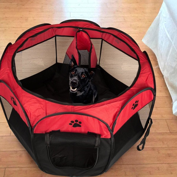 Ottekant Hundegård Telte i Oxfordstof, Rivfast, Sammenklappelig, 73*73*43cm, Brun