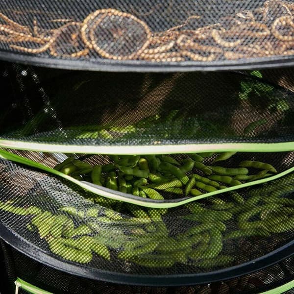 60 cm foldbart tørrenet til hydroponiske planter, fisk, urter - Kompatibel med 8-lags stativer[JUN]