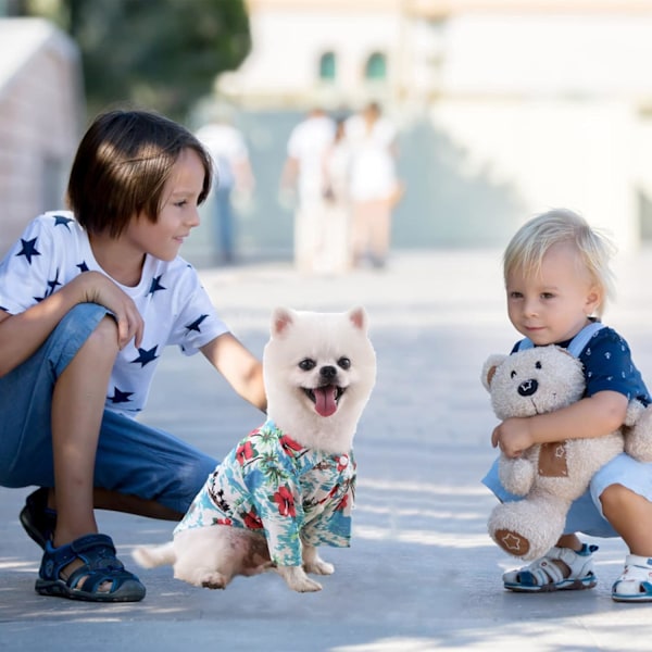 4-delt sæt Pet Skjorter Hawaiiansk Stil Hund T-shirts Strand Hund Tøj Kat Tøj Skjorter Åndbar Pet Cool Tøj (L) L