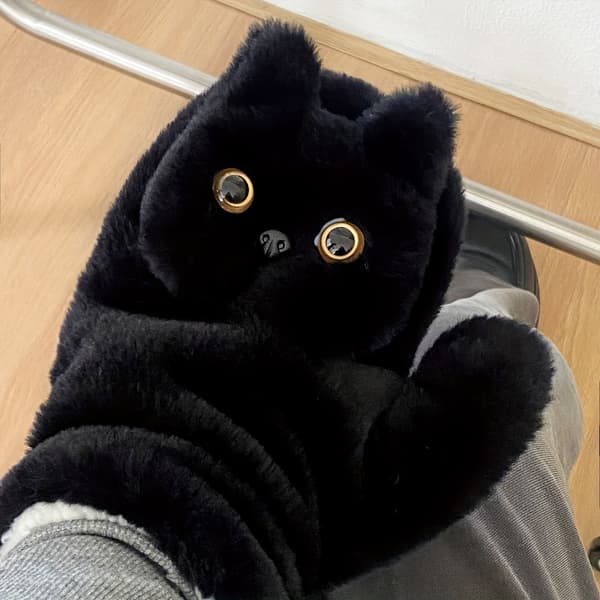 Søde Katte Plys Vinterhandsker Varme Vindtætte Fuld Dækning Udendørshandsker Blk Cat Plush-G