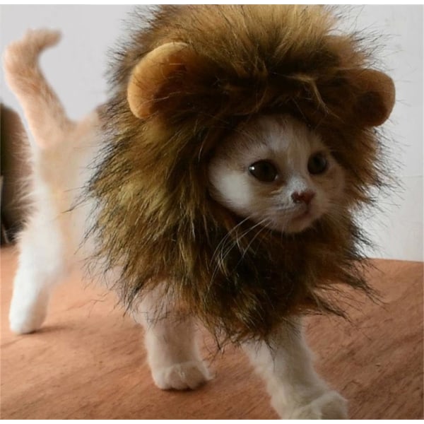 Pehmeä leijonapuku, leijonanharja korvilla kissoille