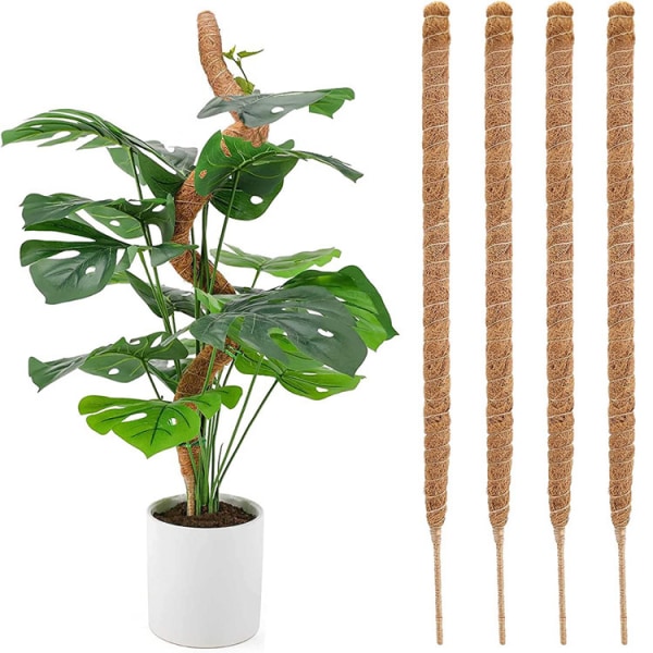 4 stk Monstera mosepinne for innendørs planter, bøyelig planteholder