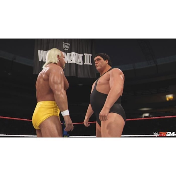 WWE 2K24 - PS4-peli