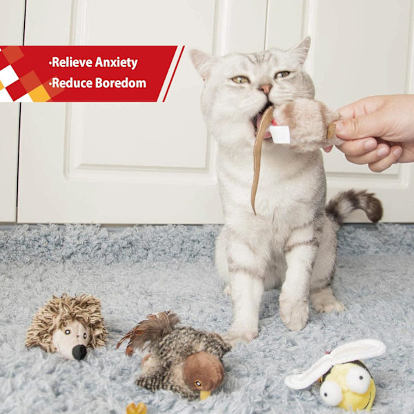 Kattungeleksak med kvittrande fågel, interaktiv kattleksak med kvittrande ljud Melodi Jaga fågelleksaker för katter att leka ensamma