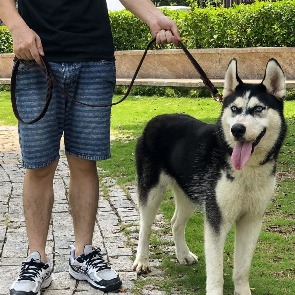 Middels størrelse lærhundebånd, holdbart, mykt og komfortabelt flettet lærhundebånd egnet for hundetrening for mellomstore og små hunder