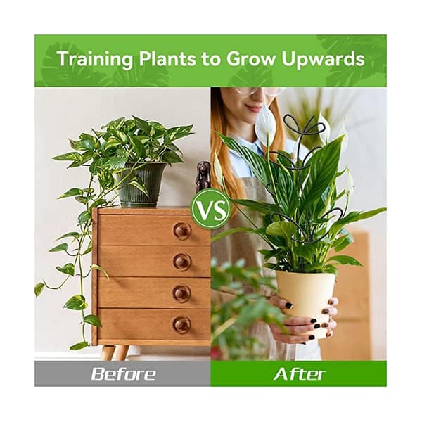 Bladformet plantestøtte for klatreplanter innendørs [JUN]